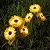 Outdoor Waterproof Led Solar Powered 3 Heads Sunflower Lawn Lights For Patio Garden Yard Pathway Decoration Lamp