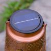 Solar Waterproof Hummingbird Hollow Garden Light Outdoor Camping Lawn Iron Art Hanging Decorative Projection Lamp