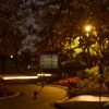 Outdoor Solar Hollow Iron Art Decorative Lamp Square Hole Basket Tungsten Wire Light Garden Lamp Lawn Light