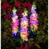 Solar-Powered Violet Garden Lights Waterproof LED Outdoor Decor with Ground Spike Energy-Efficient Landscape Lighting