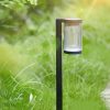 Solar Garden Light LED Filament Lamp Outdoor Ground Stake Landscape Lighting Courtyard Decor Lawn Solar Light
