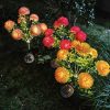 Solar-Powered Chrysanthemum Garden Lights LED Outdoor Decor for Patio Lawn Park Waterproof Energy-Efficient