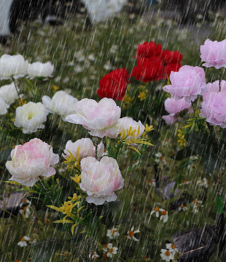 Solar-Powered Peony Garden Lights Realistic Flower Design Waterproof Outdoor Decor for Lawn Patio