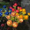 Solar-Powered Chrysanthemum Garden Lights LED Outdoor Decor for Patio Lawn Park Waterproof Energy-Efficient